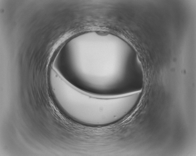 X0000056340008200508261258