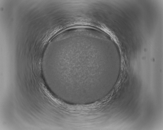 X0000056340009200508261258