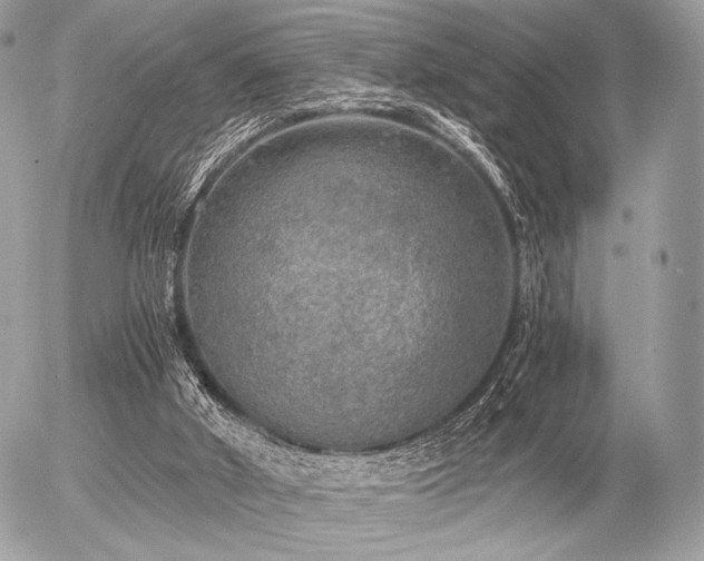 X0000056340010200508261258