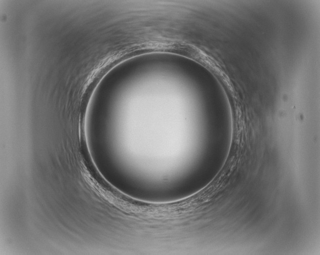 X0000056340011200508261258