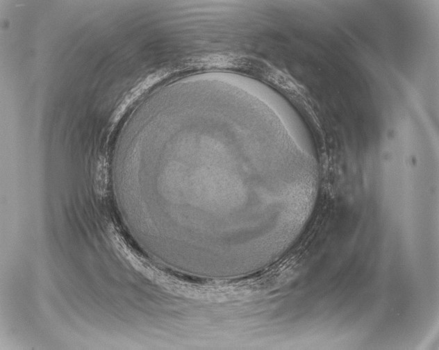 X0000056340012200508261258