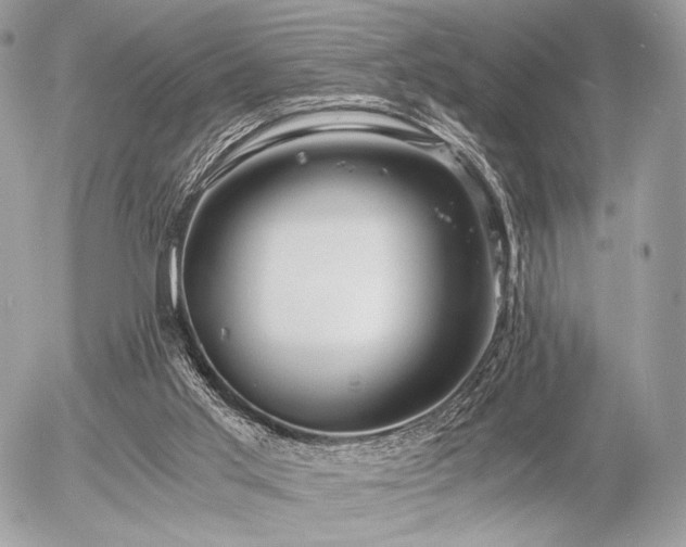 X0000056340013200508261258