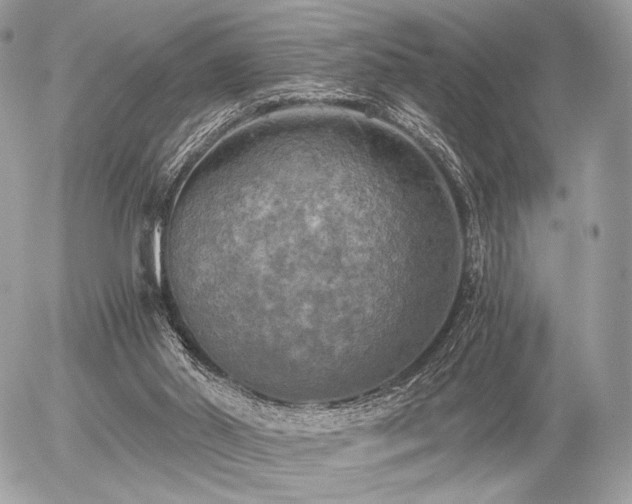 X0000056340014200508261258