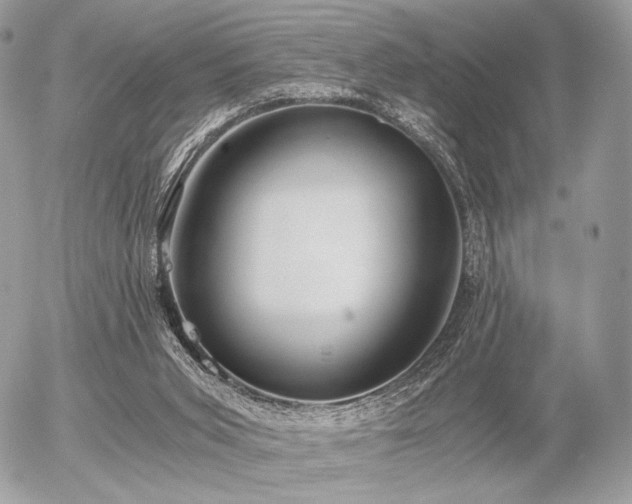 X0000056340015200508261258