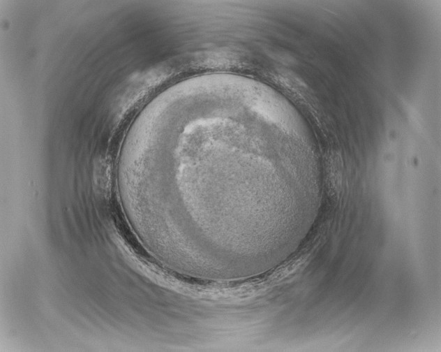 X0000056340016200508261258