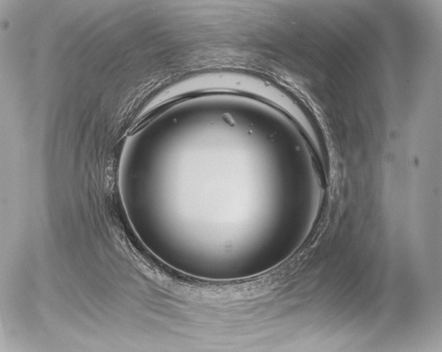 X0000056340017200508261258