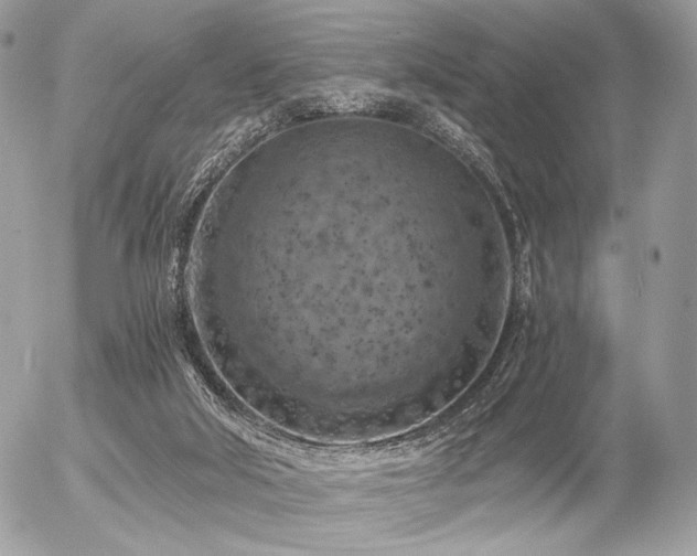 X0000056340018200508261258