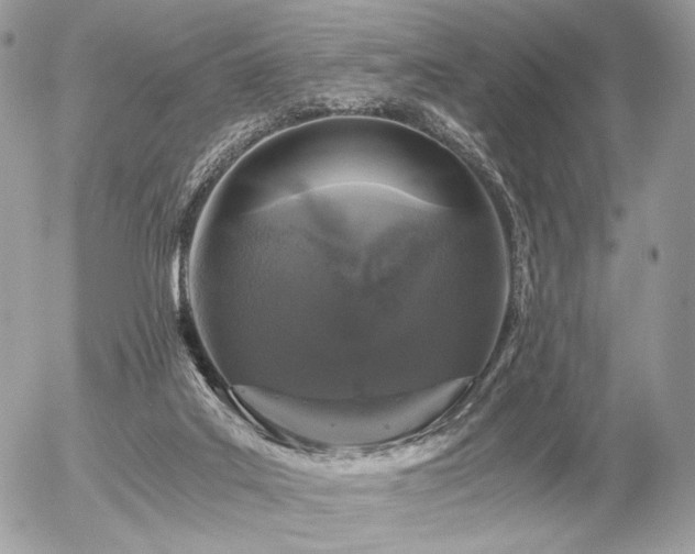 X0000056340019200508261258