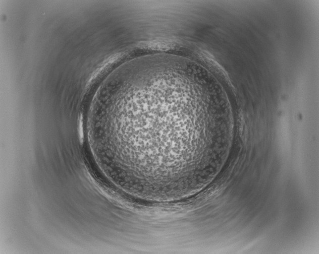 X0000056340020200508261258