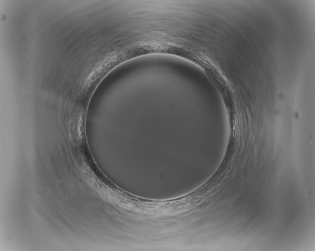 X0000056340023200508261257