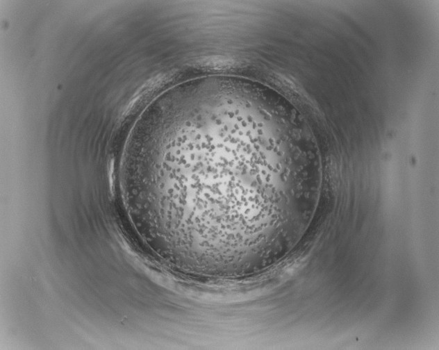 X0000056340024200508261257