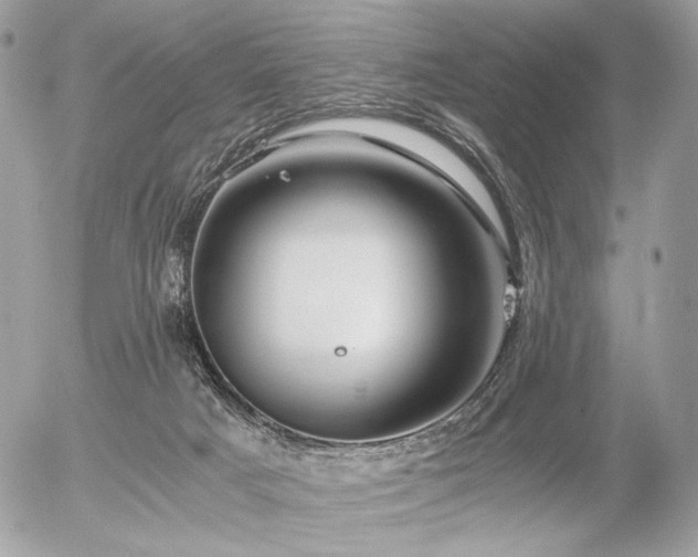 X0000056340025200508261257