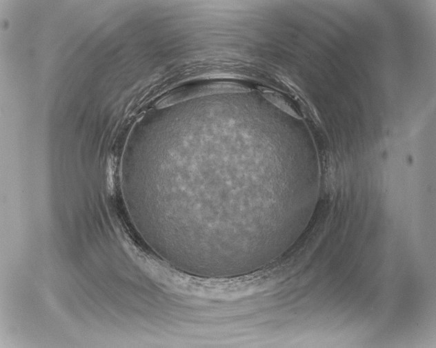 X0000056340026200508261257