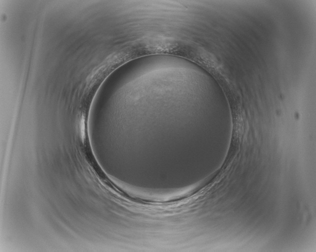 X0000056340027200508261257