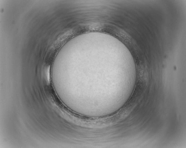 X0000056340028200508261257