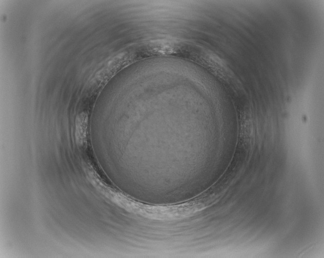 X0000056340030200508261257