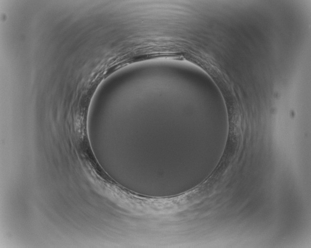 X0000056340031200508261257