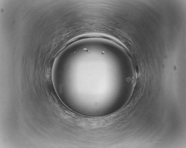 X0000056340033200508261257