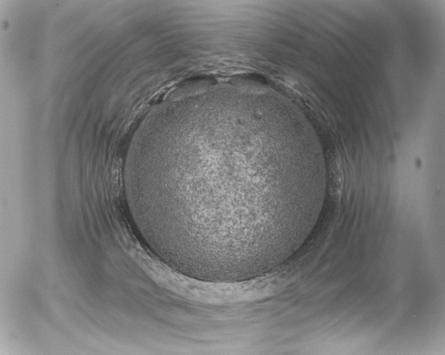 X0000056340034200508261257