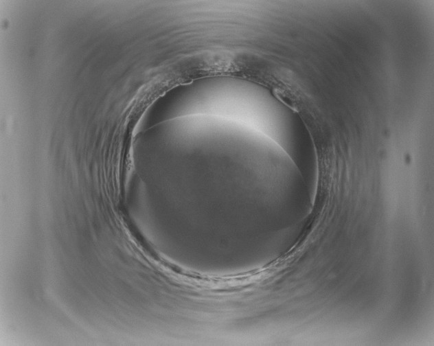 X0000056340035200508261257