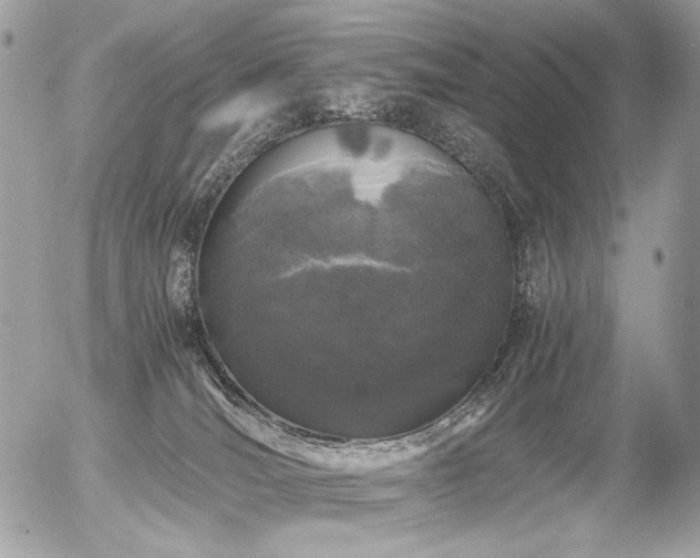 X0000056340036200508261257