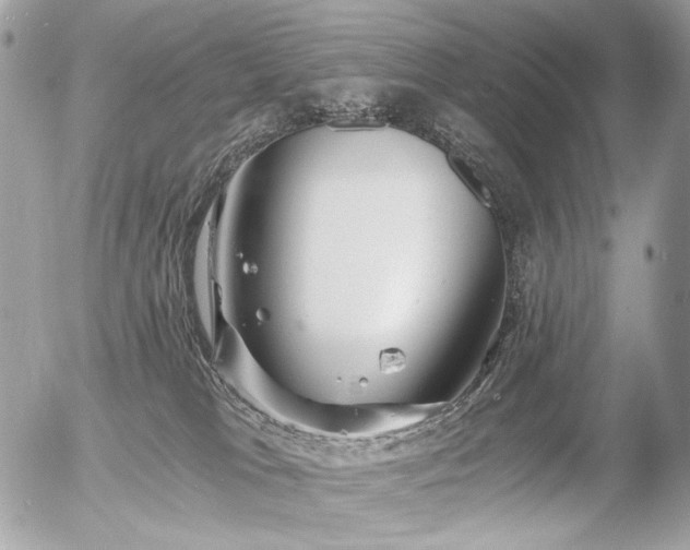 X0000056340037200508261257