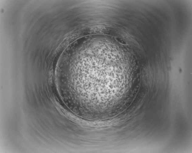 X0000056340038200508261257