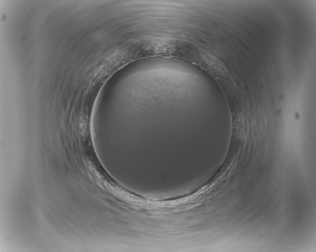 X0000056340039200508261257