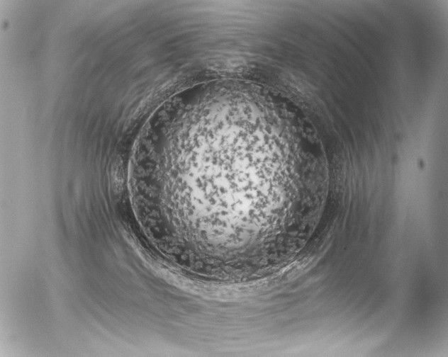 X0000056340040200508261257