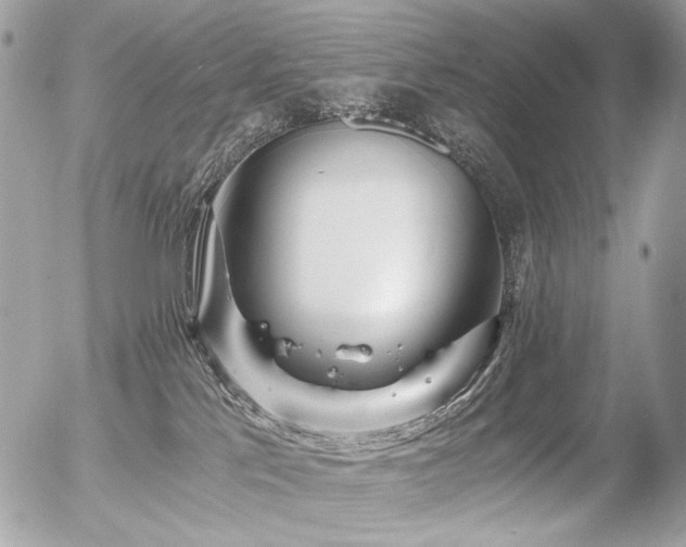 X0000056340041200508261257