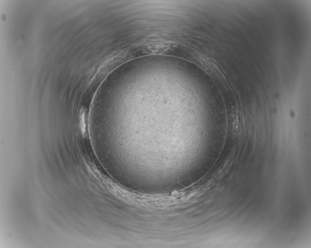 X0000056340042200508261257