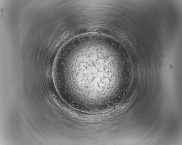 X0000056340044200508261257