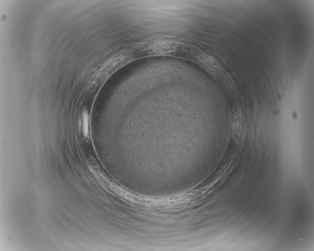 X0000056340046200508261257