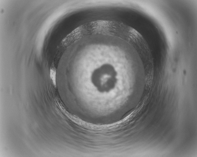 X0000056340047200508261257