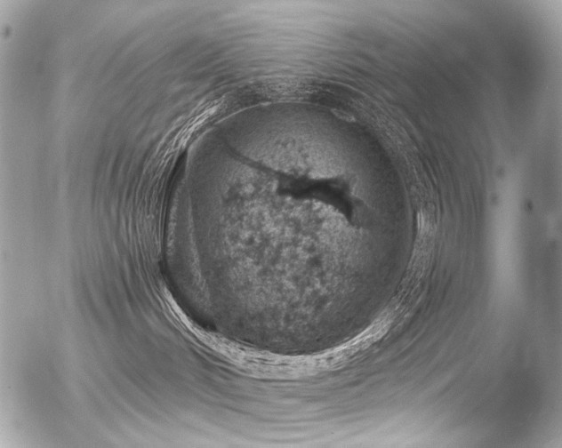 X0000056340048200508261257