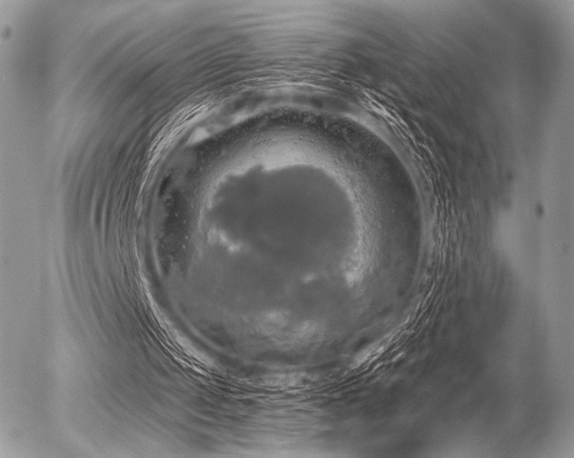 X0000056340049200508261256