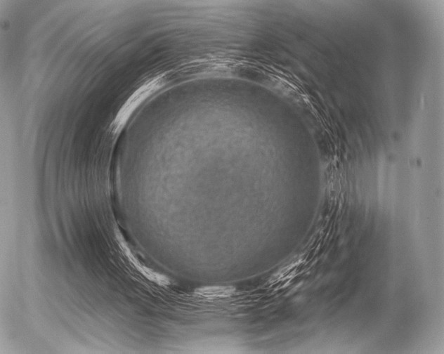 X0000056340051200508261256