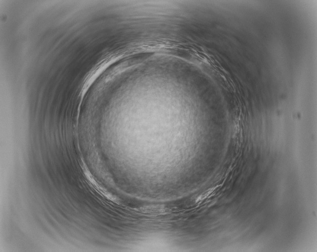 X0000056340052200508261256