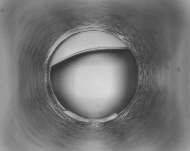 X0000056340056200508261256