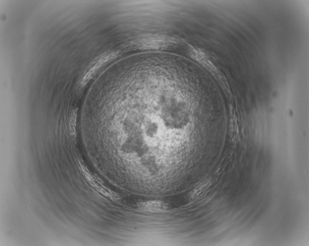 X0000056340058200508261256