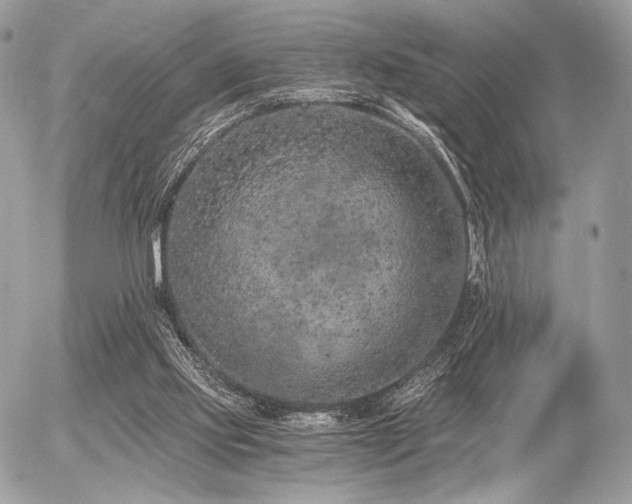 X0000056340061200508261256
