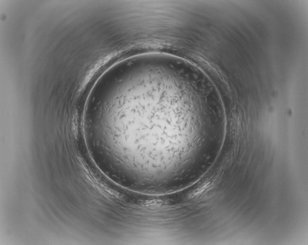 X0000056340064200508261256