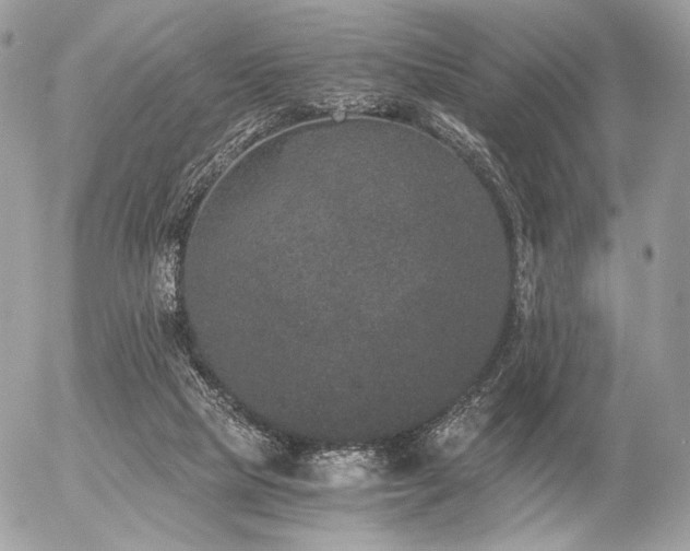 X0000056340065200508261257