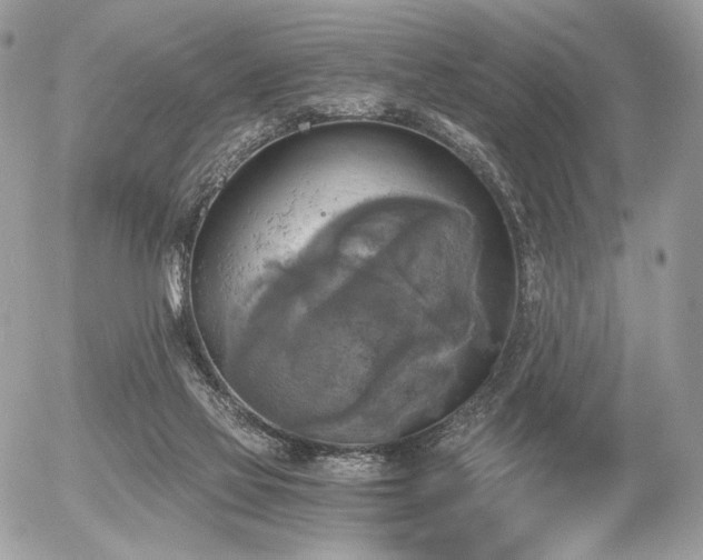 X0000056340069200508261257