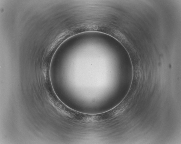 X0000056340072200508261257