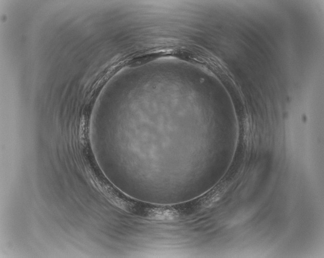 X0000056340073200508261257