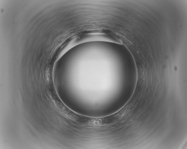 X0000056340080200508261257