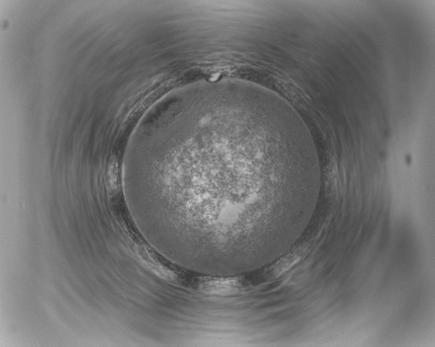 X0000056340081200508261257