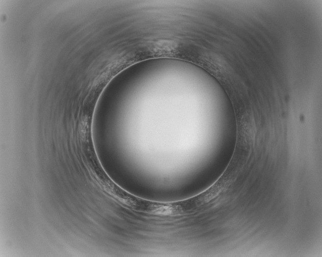 X0000056340083200508261257