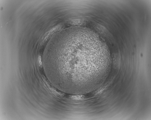 X0000056340089200508261257